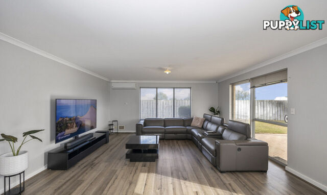 19 Harford Grove YANCHEP WA 6035