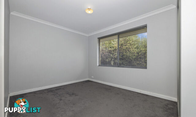 19 Harford Grove YANCHEP WA 6035