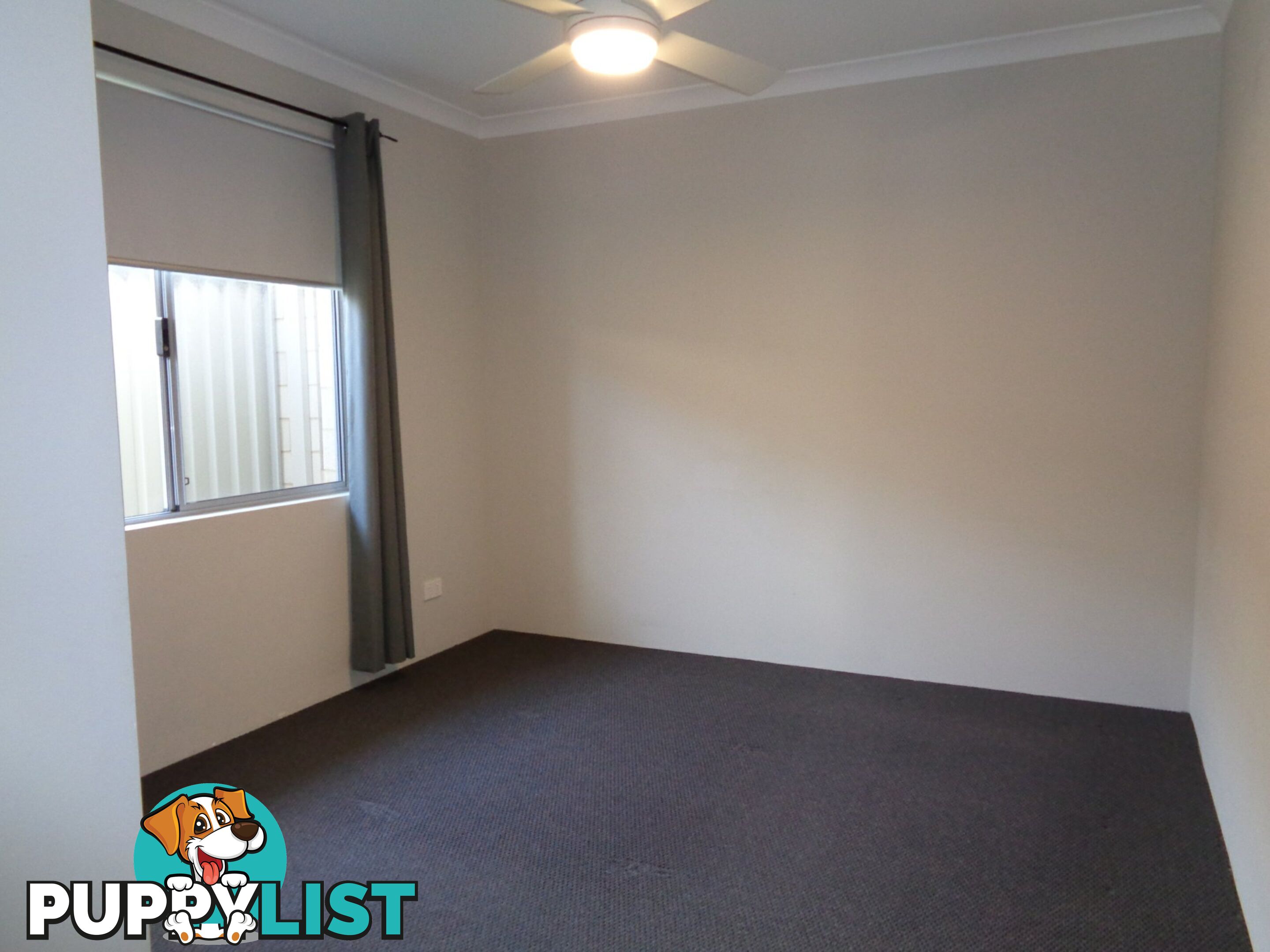 16 Tortoise Street ALKIMOS WA 6038