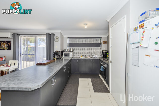 23 Frond Circuit BANKSIA GROVE WA 6031