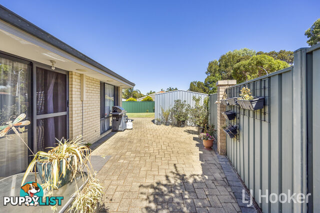 23 Frond Circuit BANKSIA GROVE WA 6031