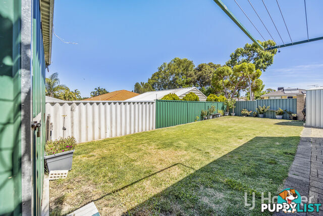 23 Frond Circuit BANKSIA GROVE WA 6031