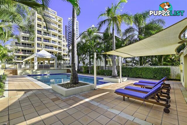 'SEYCHELLES' 5 Cronin Avenue Main Beach QLD 4217