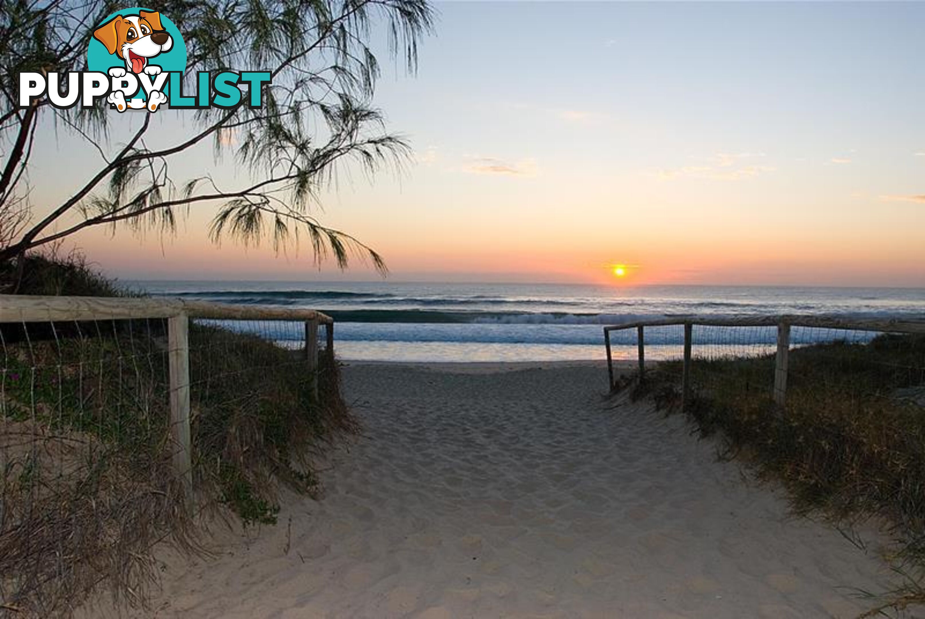 'PEAK LODGE' 10 Peak Avenue Main Beach QLD 4217