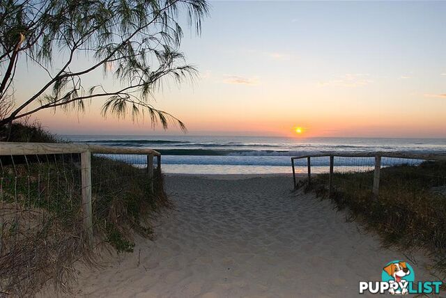 'PEAK LODGE' 10 Peak Avenue Main Beach QLD 4217