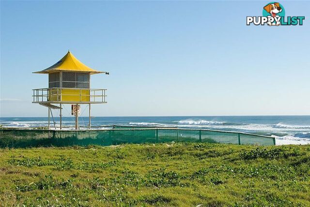 'PEAK LODGE' 10 Peak Avenue Main Beach QLD 4217