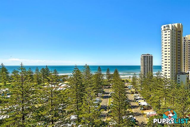 'OSCAR ON MAIN', 1 Hughes Avenue Main Beach QLD 4217