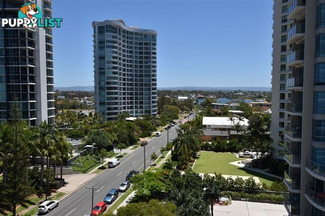 'THE CREST' 15 Breaker_ Street Main Beach QLD 4217