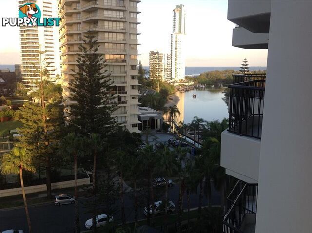 'THE INLET', 24 Breaker  Street Main Beach QLD 4217