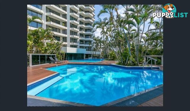 'THE INLET', 24 Breaker  Street Main Beach QLD 4217