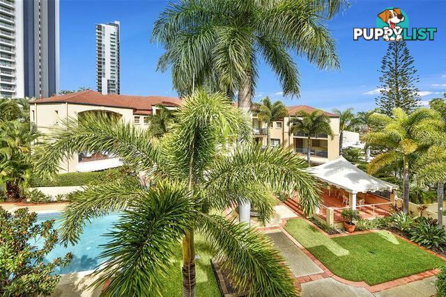 'SAINTE MAXIME' 38 Woodroffe Avenue Main Beach QLD 4217