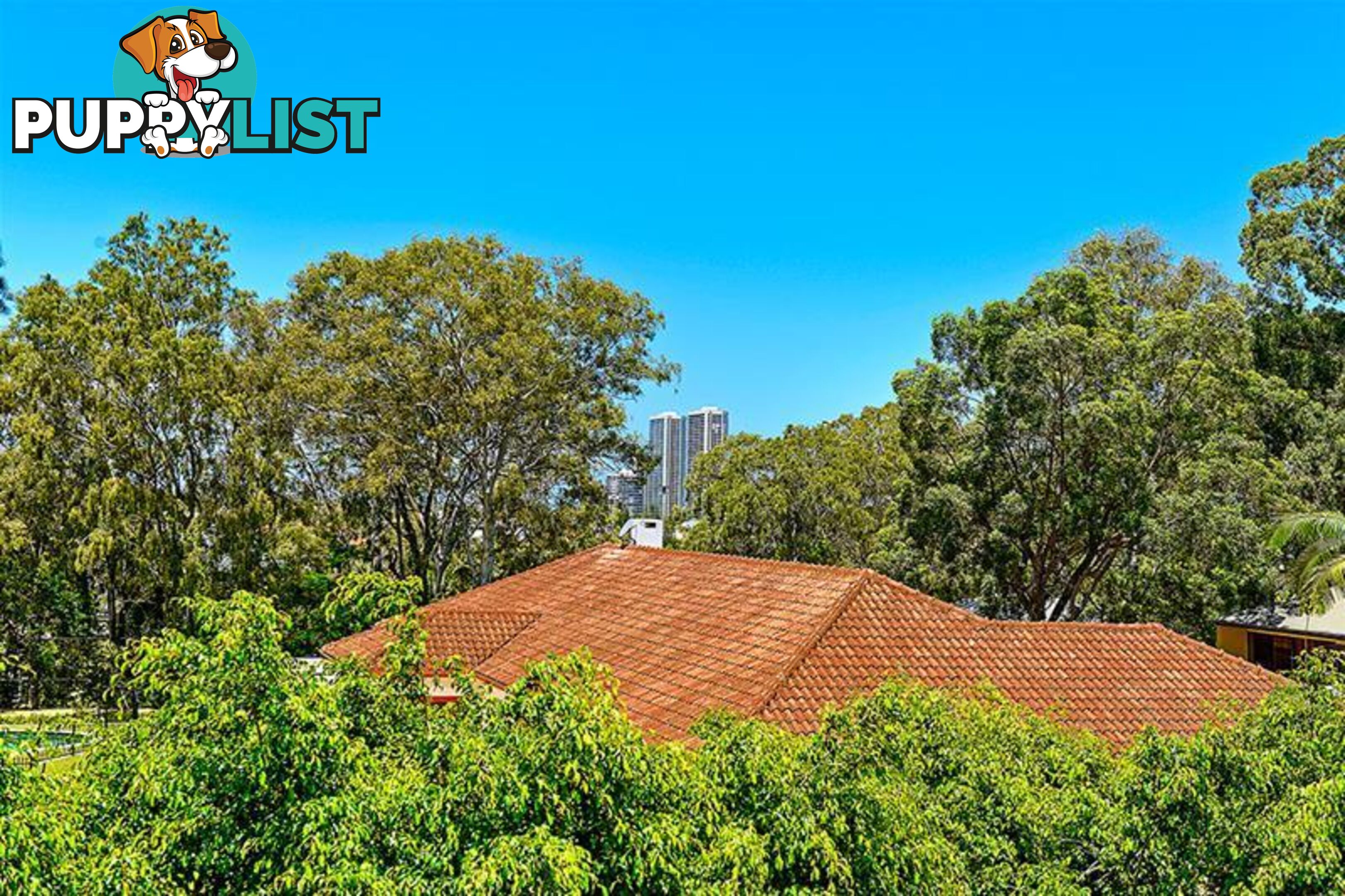 2/9A Greer Terrace Southport QLD 4215