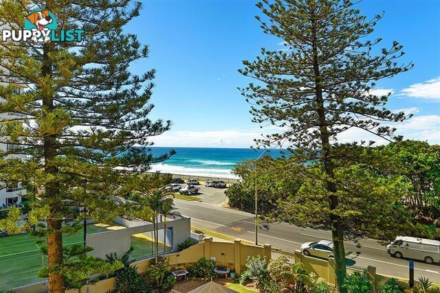 'NARROWNECK CT' 204 Ferny  Avenue Surfers Paradise QLD 4217