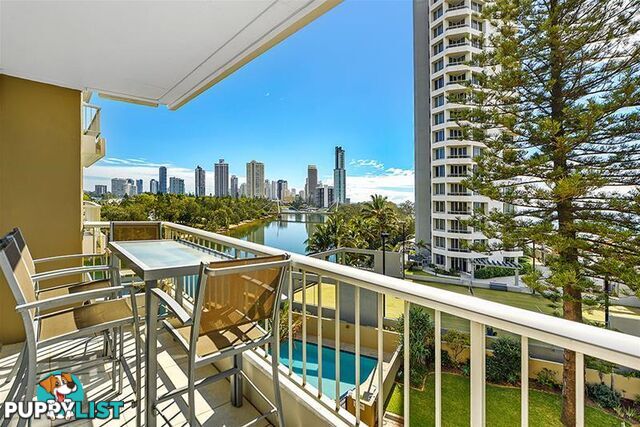 'NARROWNECK CT' 204 Ferny  Avenue Surfers Paradise QLD 4217