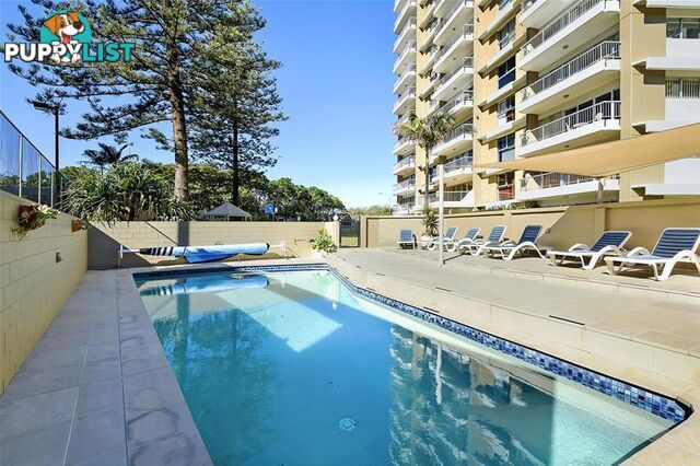 'NARROWNECK CT' 204 Ferny  Avenue Surfers Paradise QLD 4217