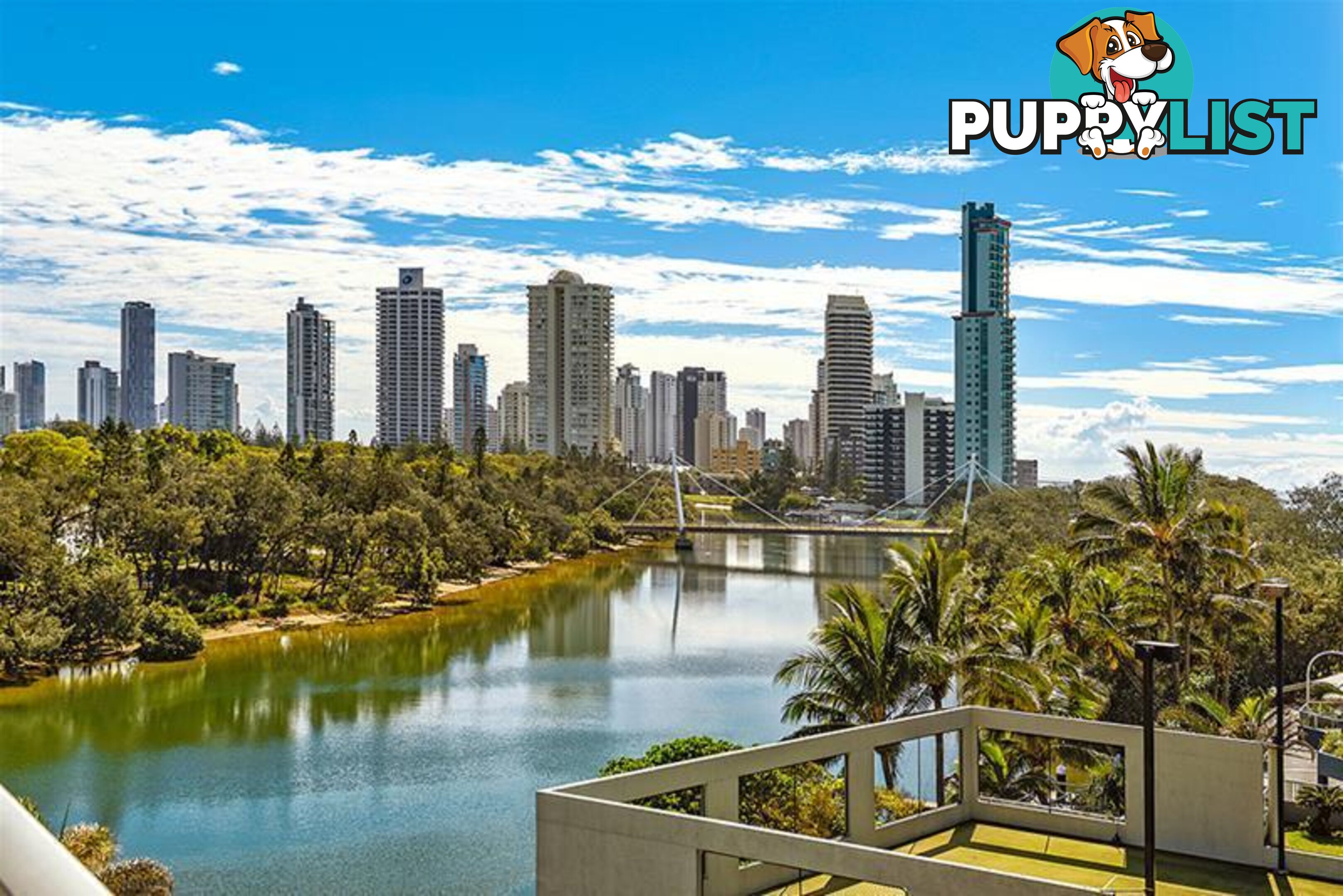 'NARROWNECK CT' 204 Ferny  Avenue Surfers Paradise QLD 4217