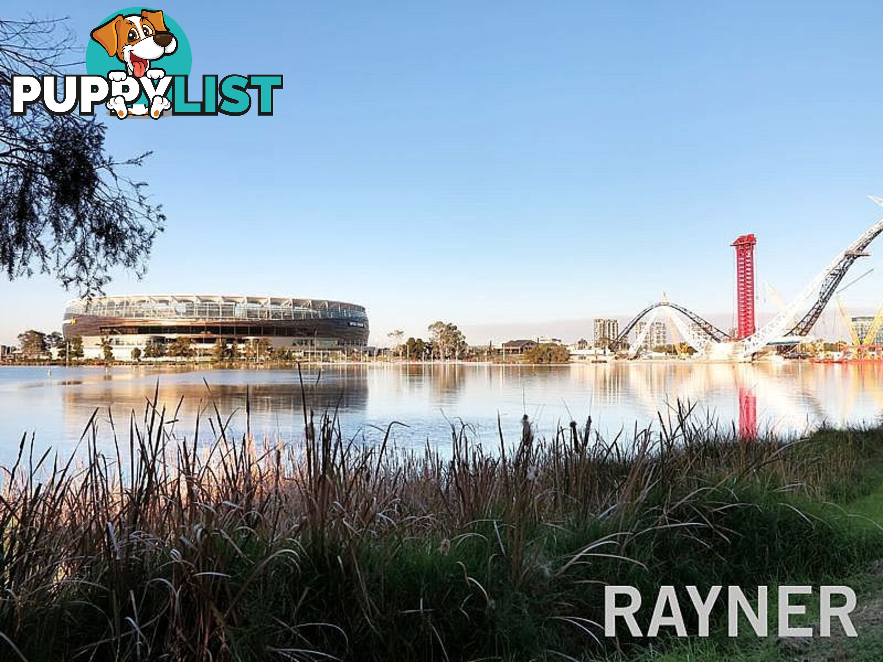 25 60 Royal Street EAST PERTH WA 6004