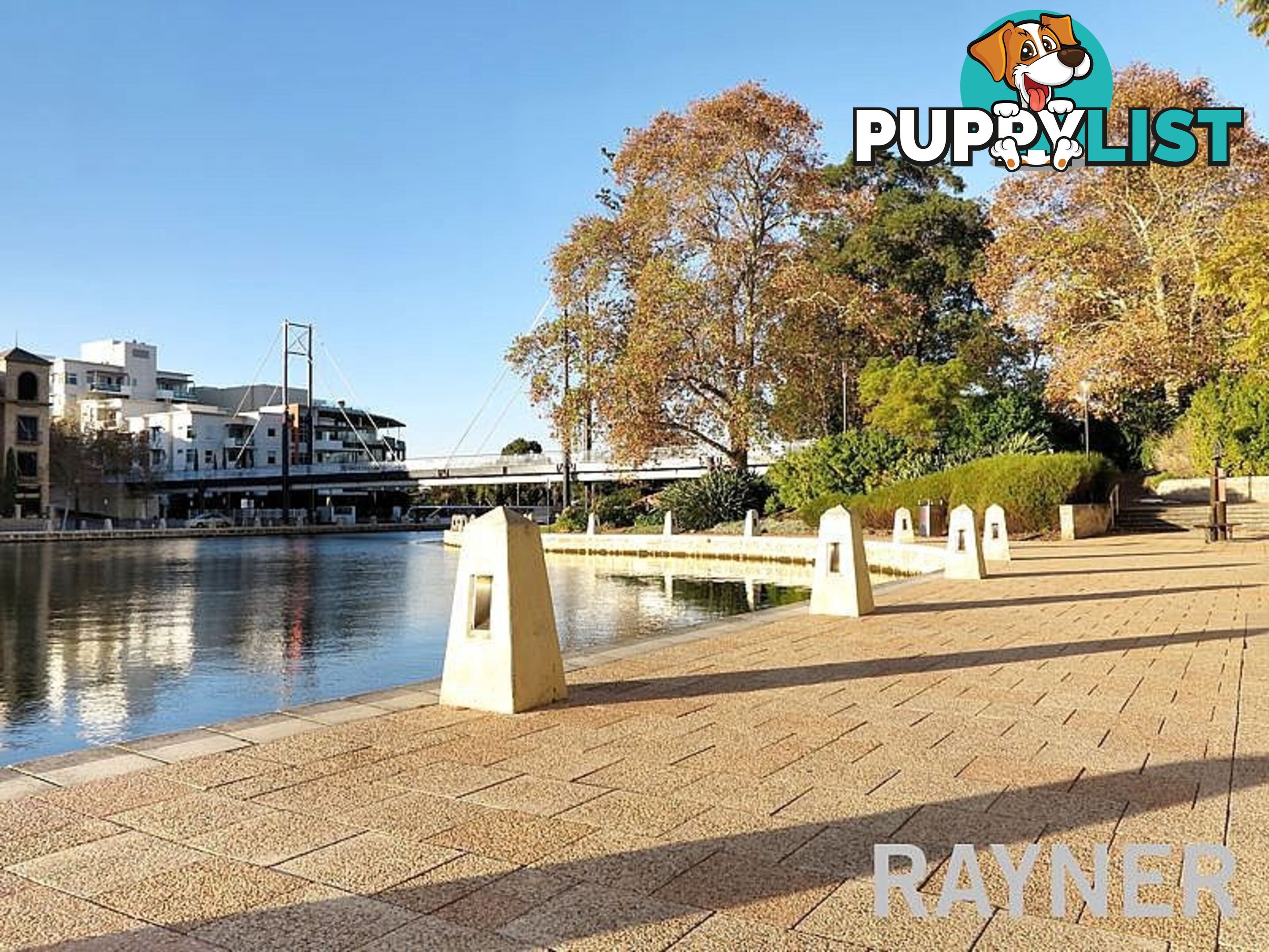 25 60 Royal Street EAST PERTH WA 6004