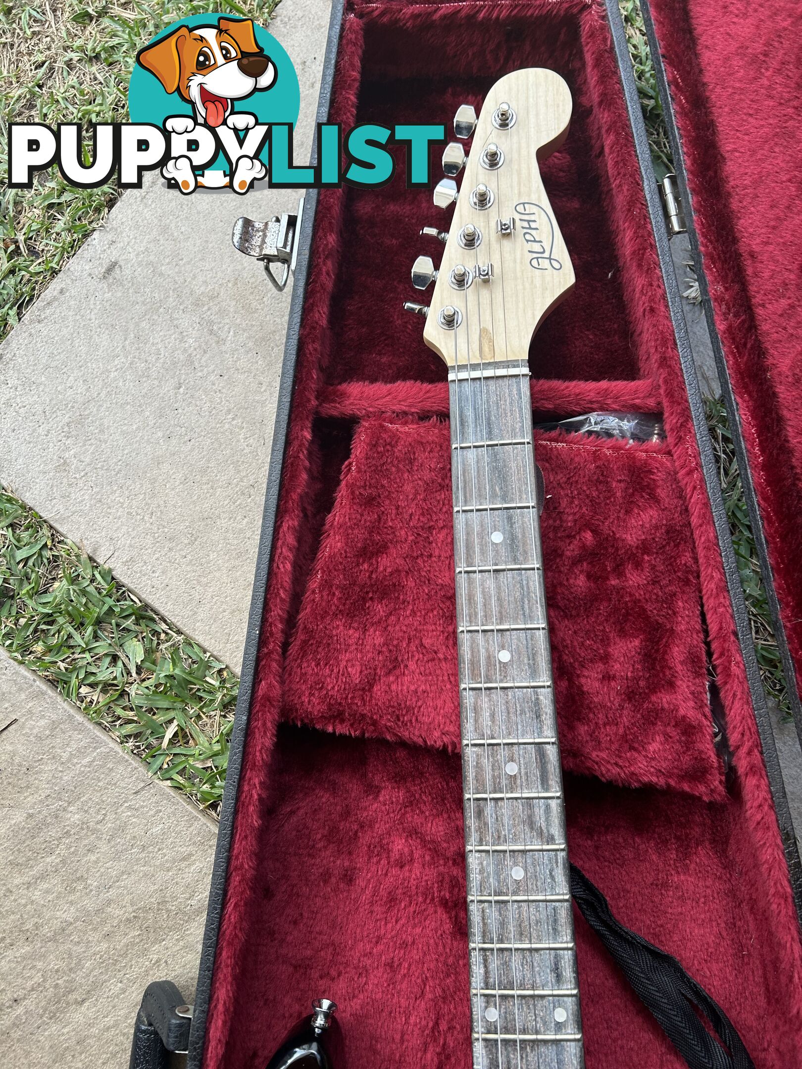 Electric guitar, small amp and hard case