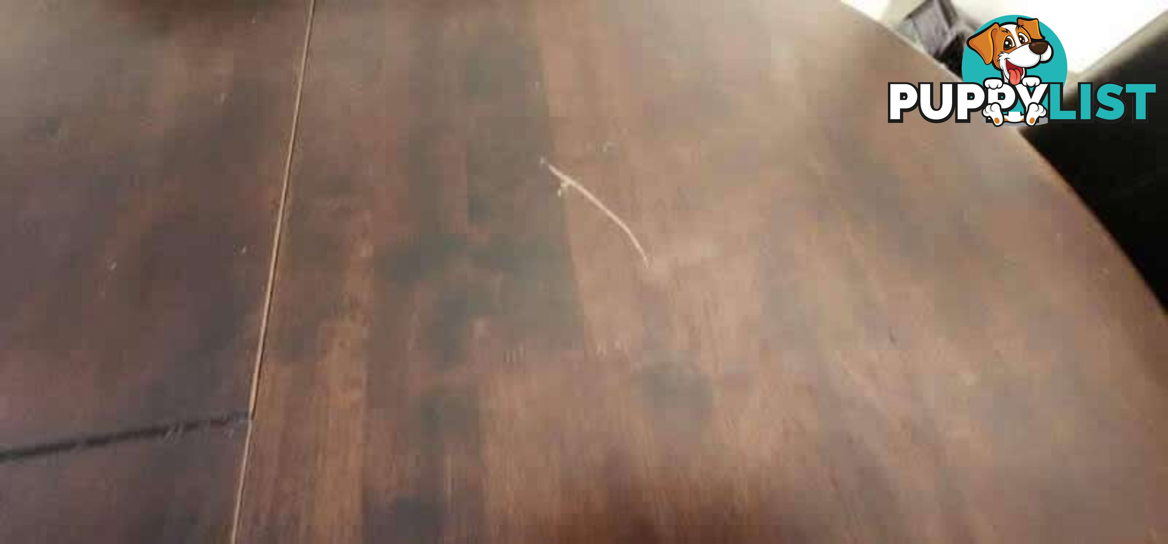 Elegant Dark Wood Dining Table with 6 Leather Chairs Good Condition