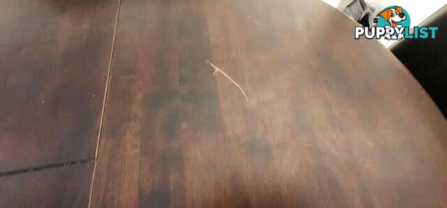 Elegant Dark Wood Dining Table with 6 Leather Chairs Good Condition