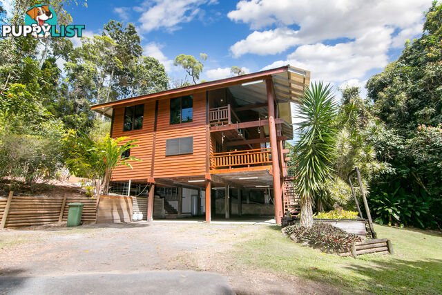 57 Butler Drive Kuranda QLD 4881