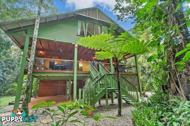 1 Gregory Terrace Kuranda QLD 4881