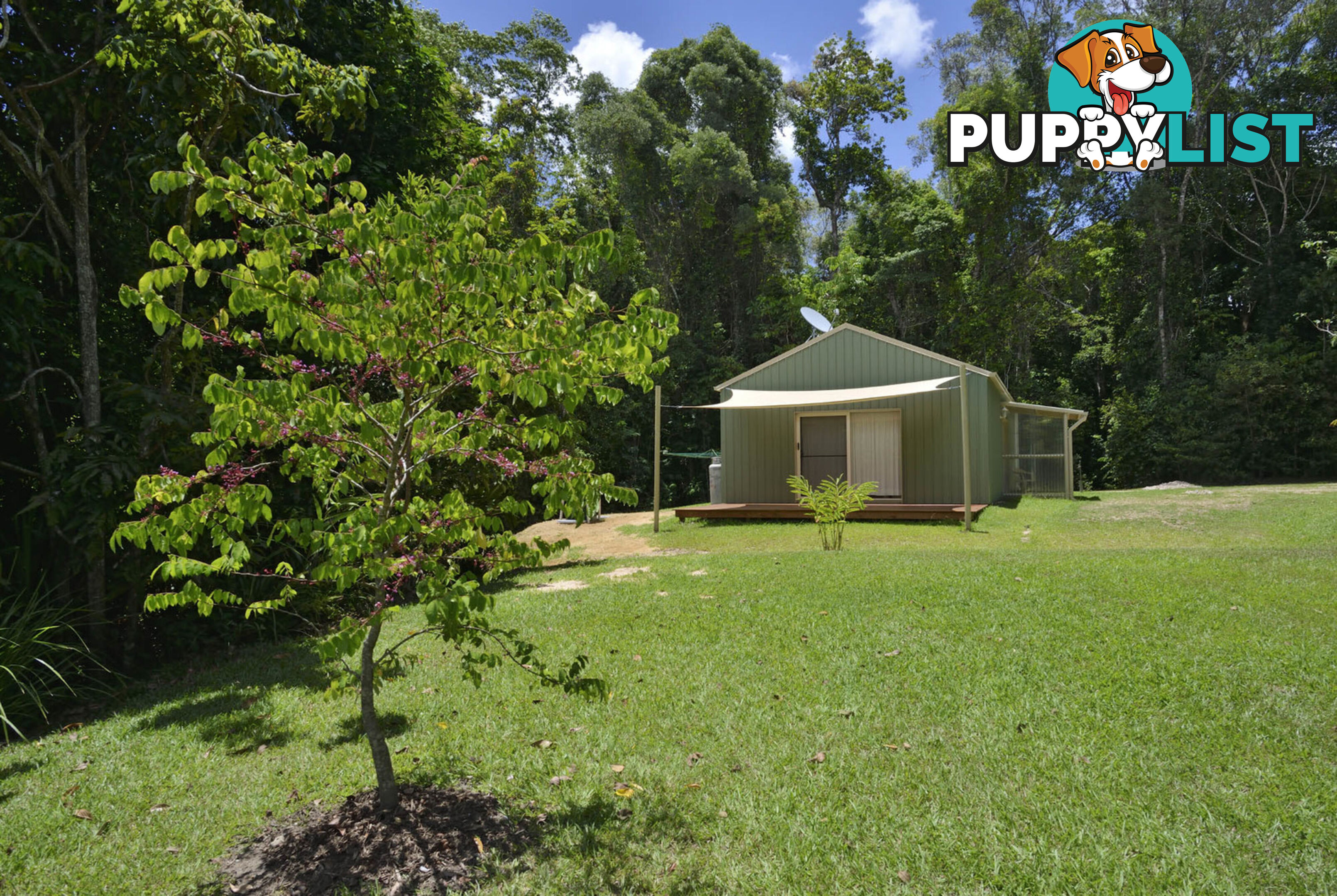 1 B Spring Crescent Kuranda QLD 4881