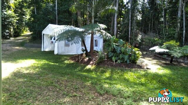 1 B Spring Crescent Kuranda QLD 4881