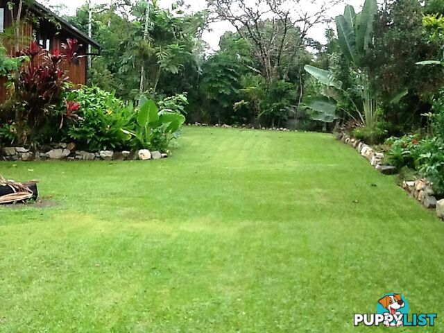 3 Kullaroo Close Kuranda QLD 4881