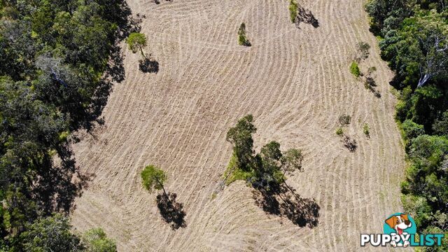 2262 Kennedy Highway Kuranda QLD 4881