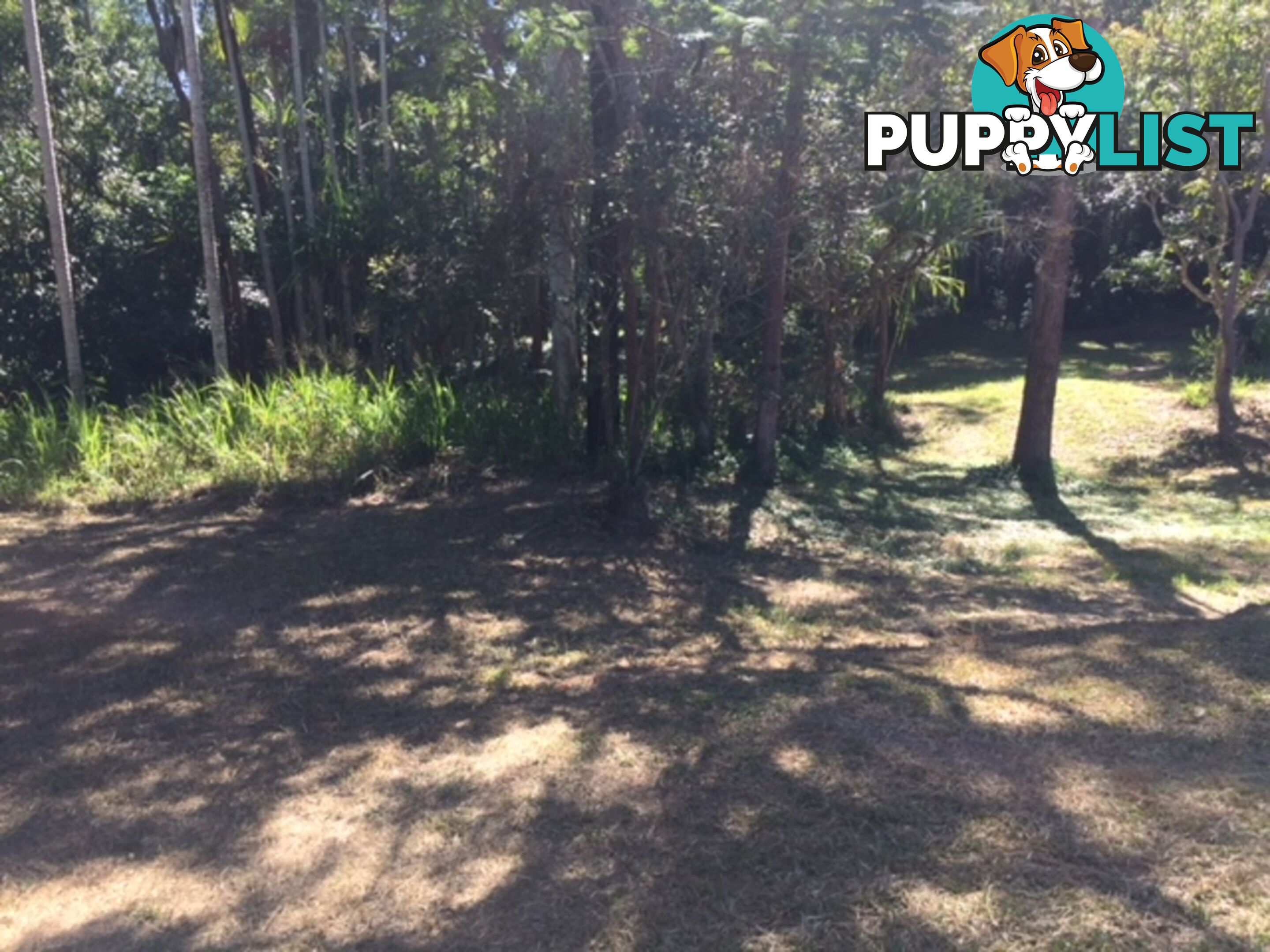 2262 Kennedy Highway Kuranda QLD 4881