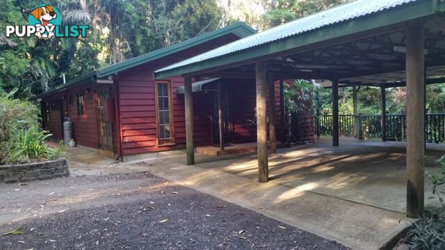 35 Butler Drive Kuranda QLD 4881