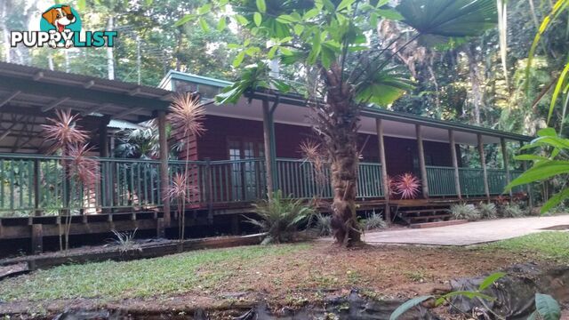 35 Butler Drive Kuranda QLD 4881