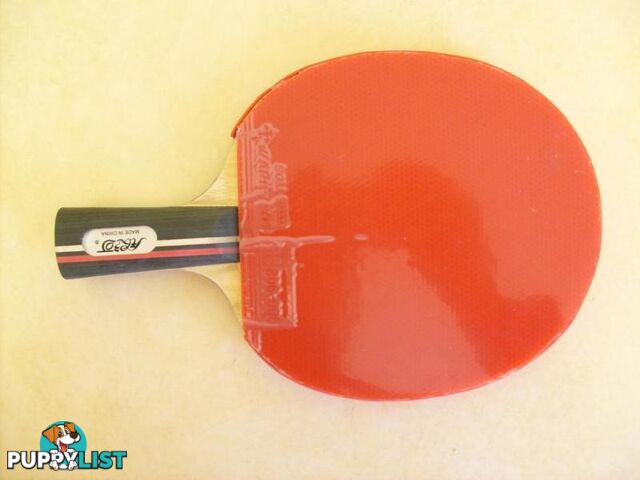 professionl chinese penholder table tennis bat(2)