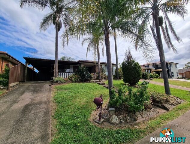 45 Dransfield Road EDENSOR PARK NSW 2176