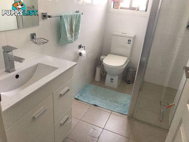 53a Brisbane Road ST JOHNS PARK NSW 2176