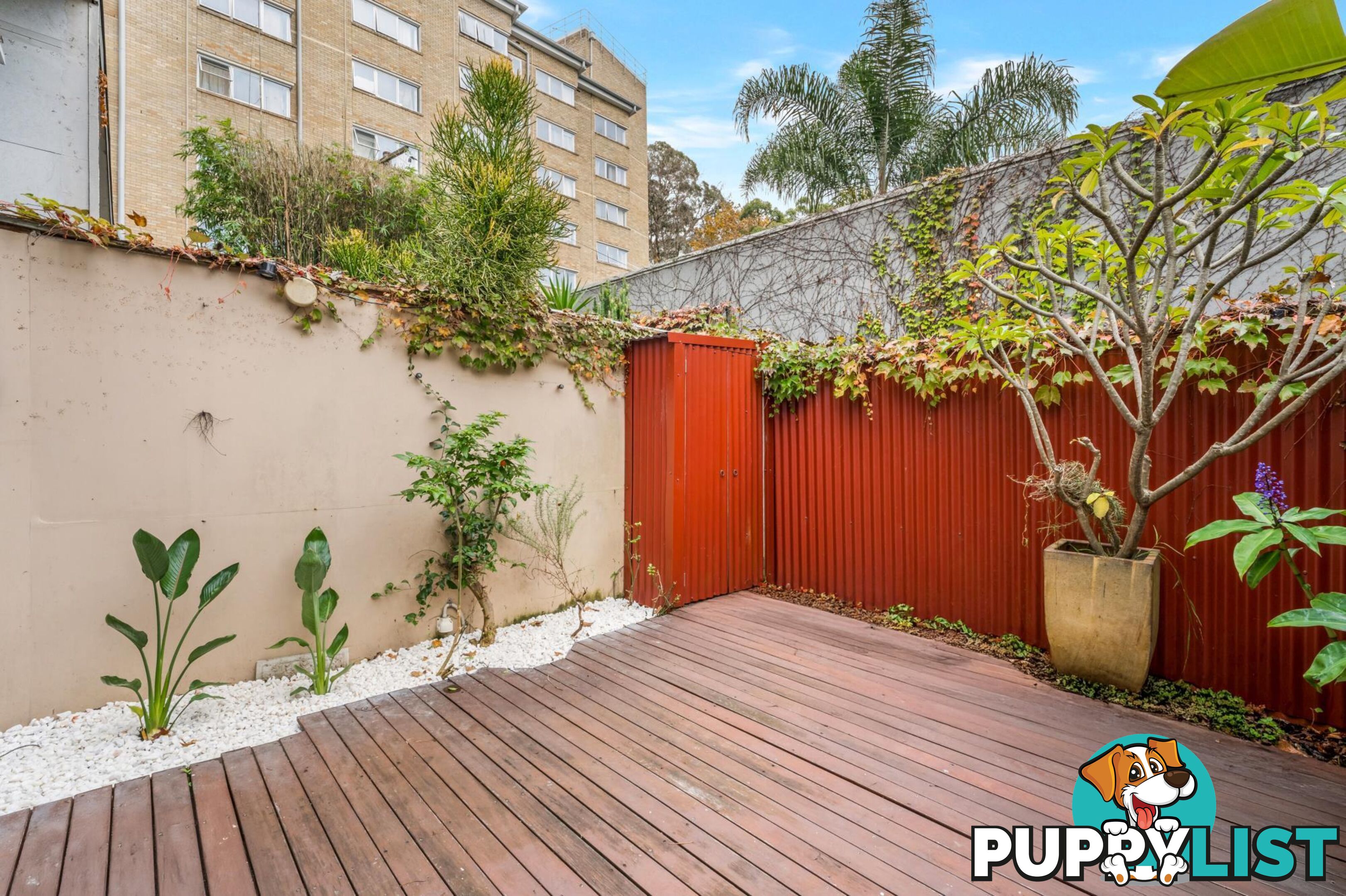 86 Boronia Street REDFERN NSW 2016