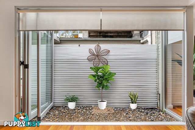 86 Boronia Street REDFERN NSW 2016
