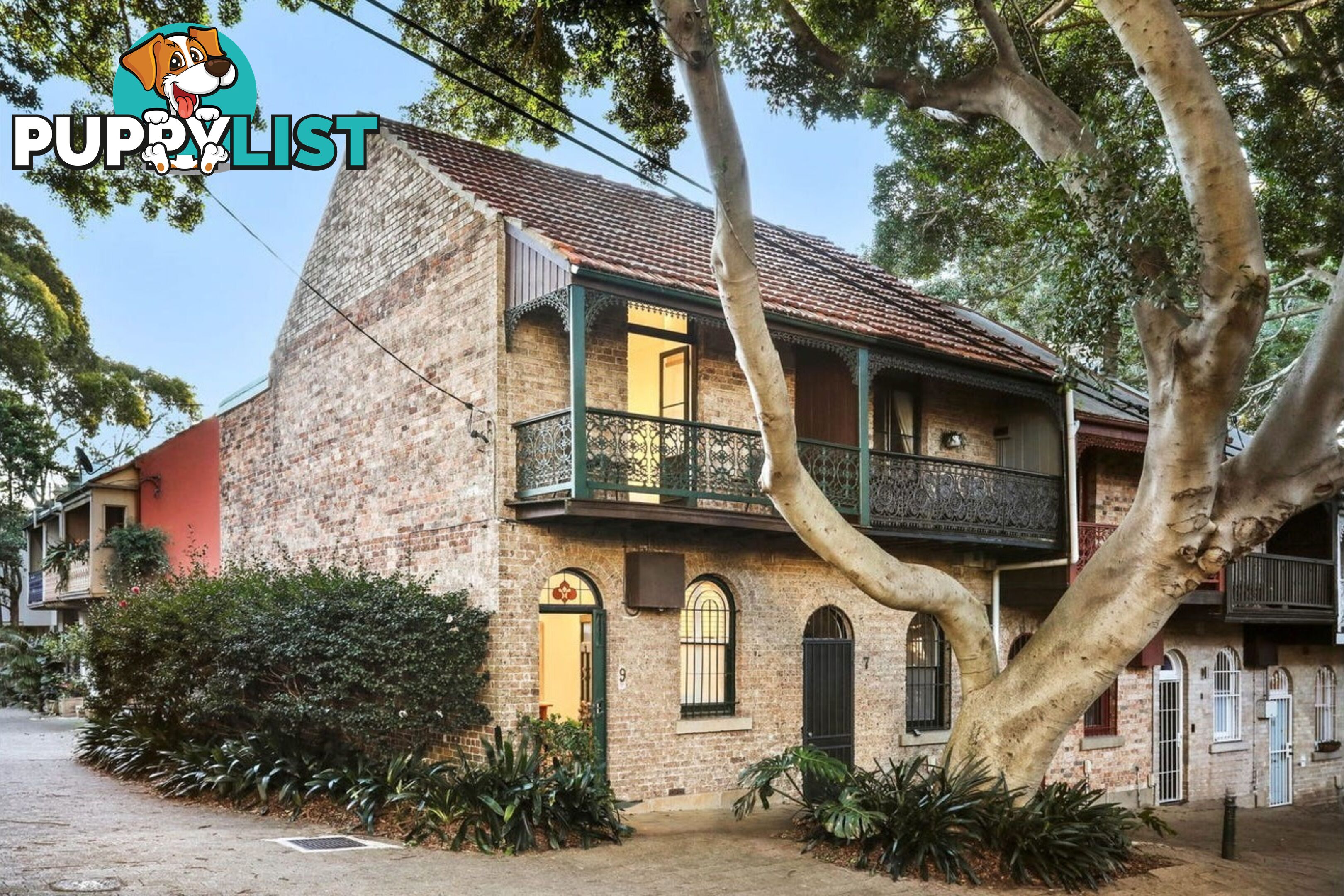 9 Selwyn Street PADDINGTON NSW 2021