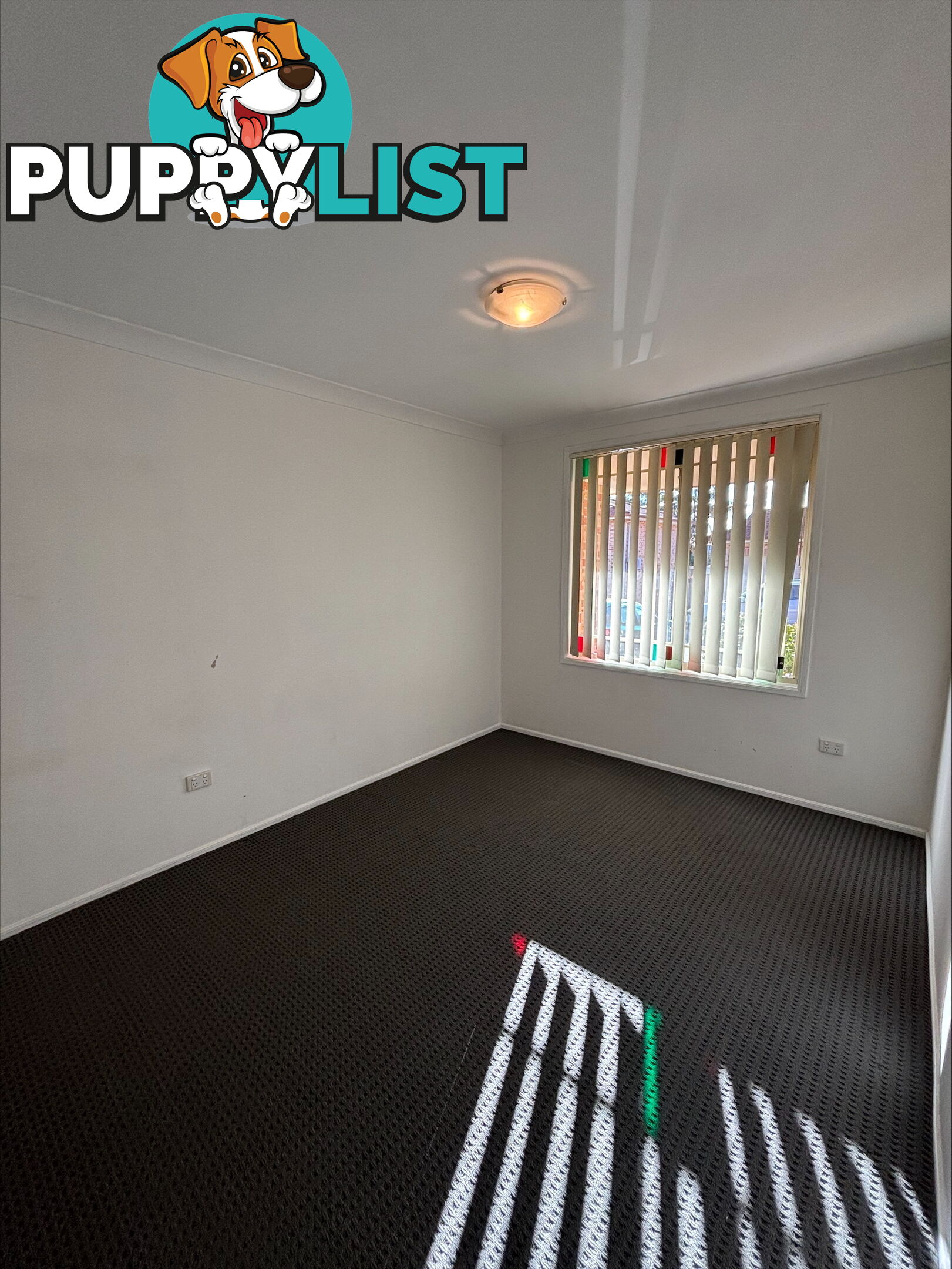 7/345 Elizabeth Drive MOUNT PRITCHARD NSW 2170