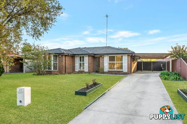 37 Olympus Drive ST CLAIR NSW 2759