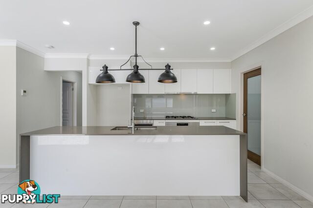 7 Landon Street SPRING FARM NSW 2570