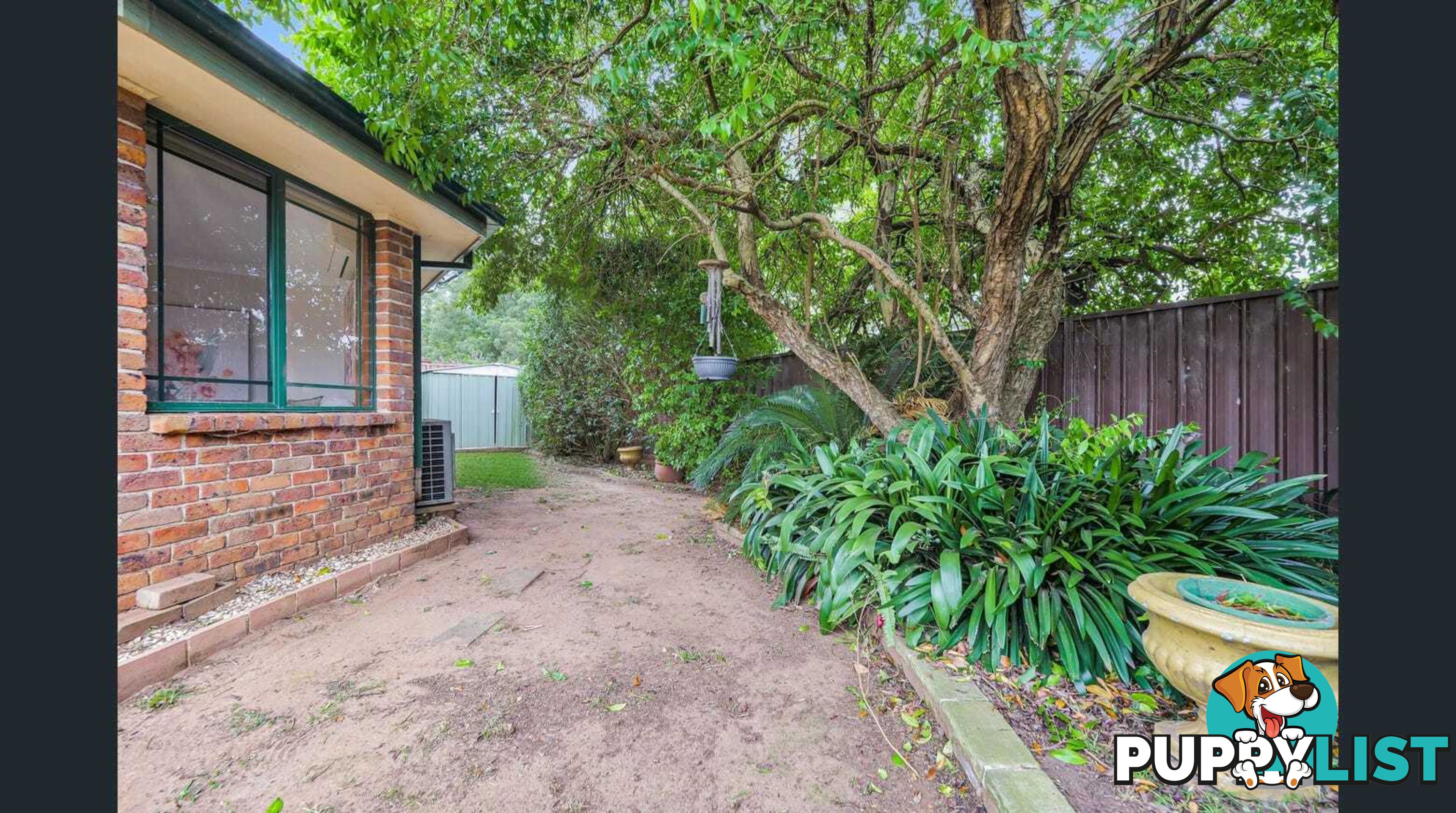 31 Throsby Drive NARELLAN VALE NSW 2567