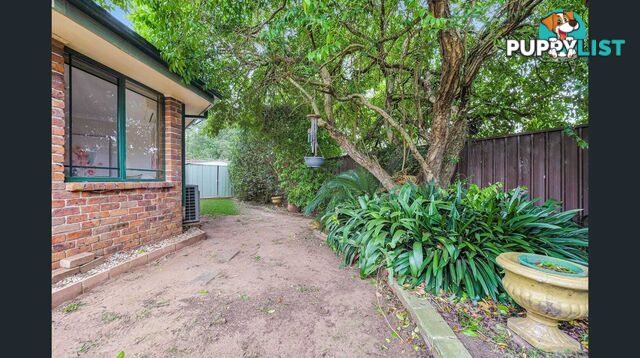 31 Throsby Drive NARELLAN VALE NSW 2567