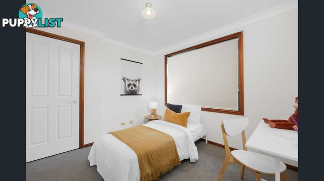 31 Throsby Drive NARELLAN VALE NSW 2567