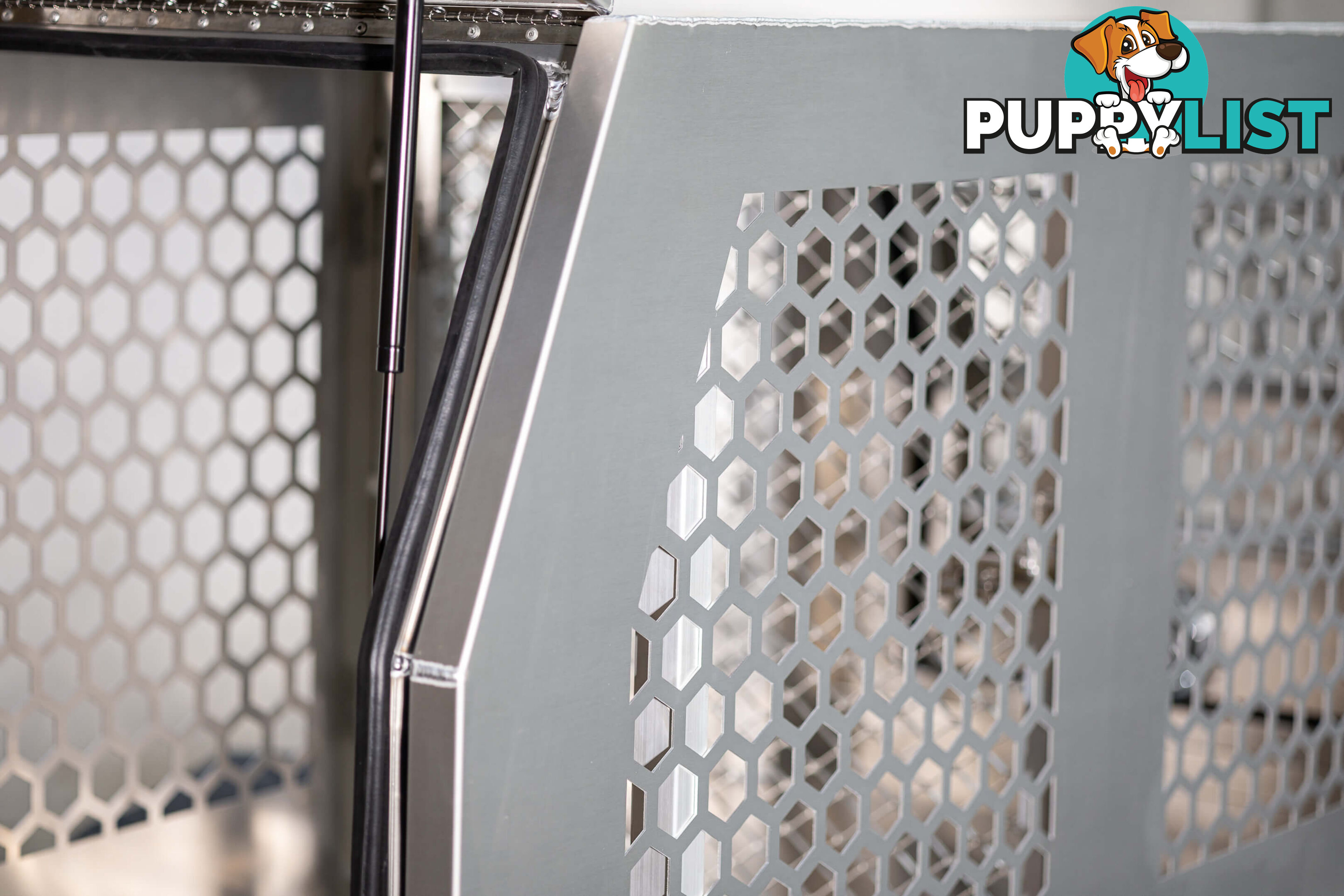 X1-600 F/P DOG BOX