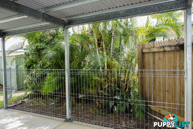 1 59 Golden Grove Drive Bentley Park QLD 4869