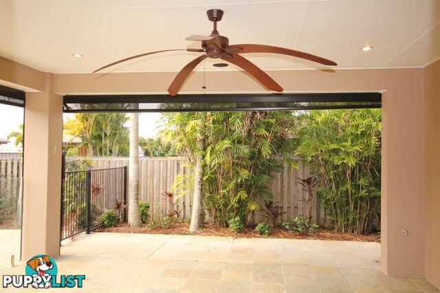 1 Freya Circuit Coomera Waters QLD 4209