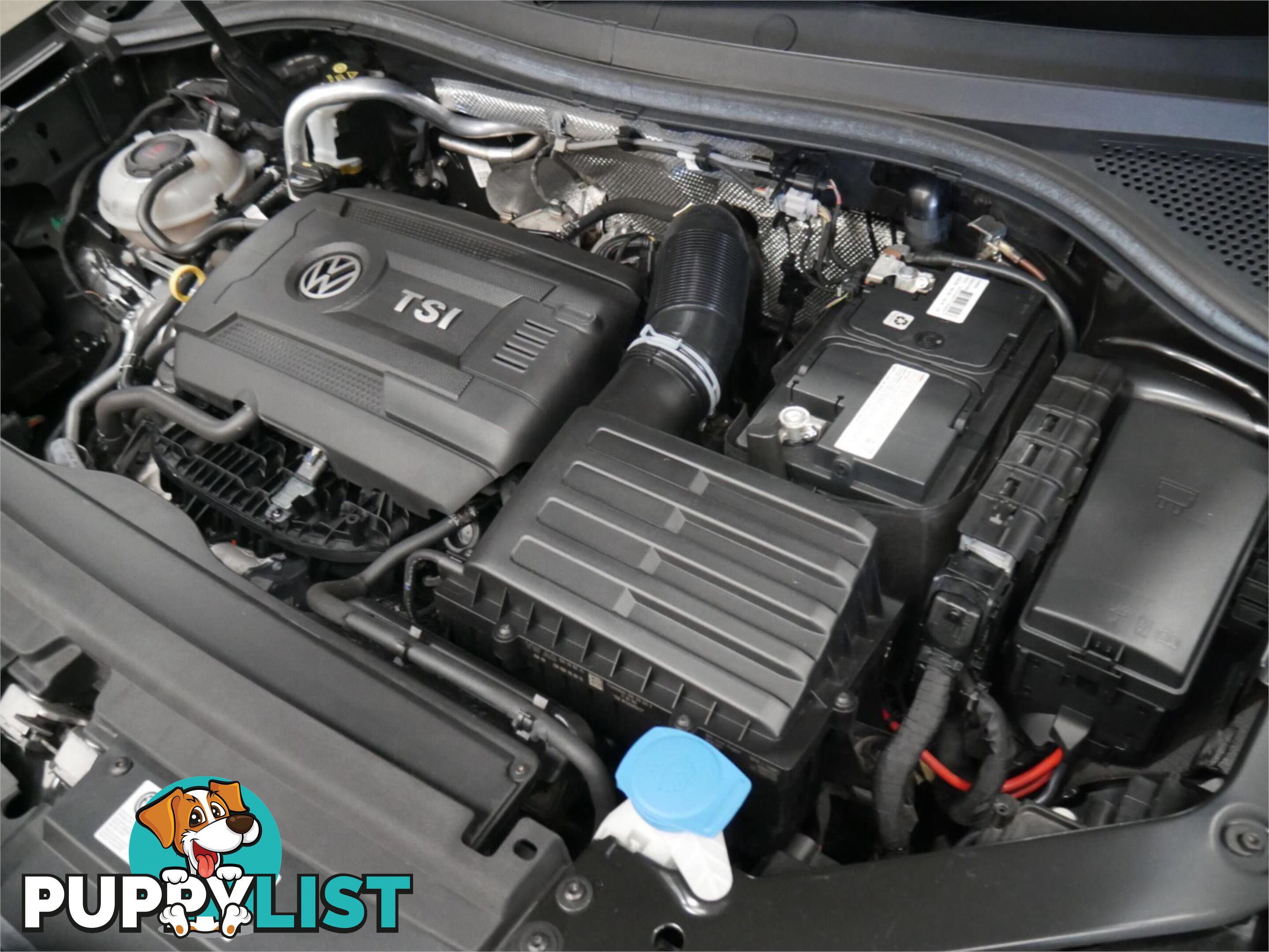 2019 VOLKSWAGEN TIGUAN 162TSIHIGHLINE 5NAMY19 4D WAGON